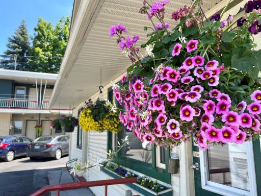 Motel Saint-Hilaire - Housity