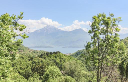 Casa dei Gufi - Housity