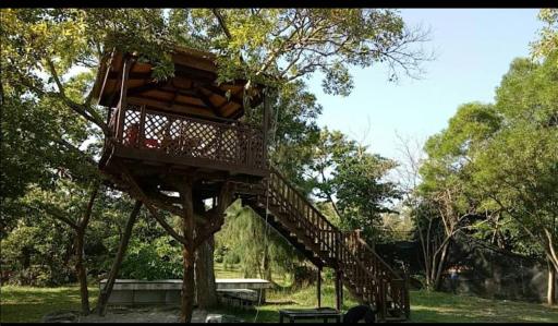 Forest Tree Coffee Chalet - Housity