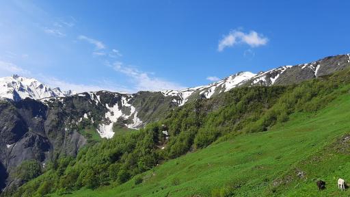 XOSTEL GOCHA - Housity