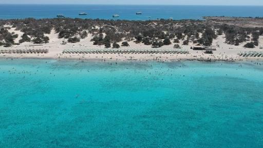 New-B Apartment - Housity