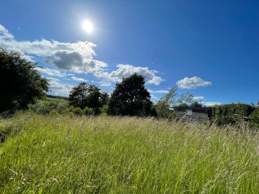Wellbank Shepherds Hut - Housity