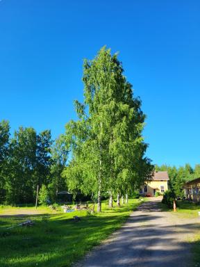 Old village school - Housity