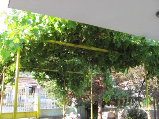 TERPSITHEA's HOUSE - Housity