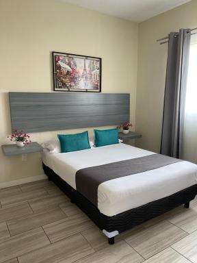 Constanza Loft - Housity
