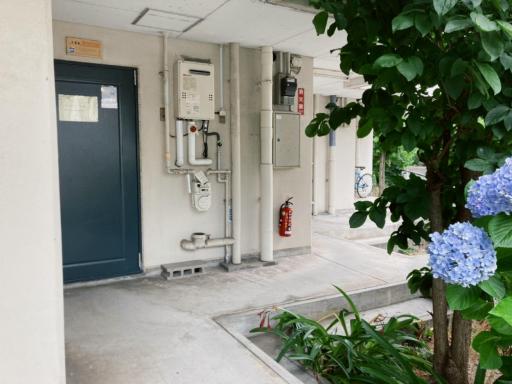 リバーサイド厚生町 - Housity