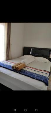 ZG Home Solo - Housity