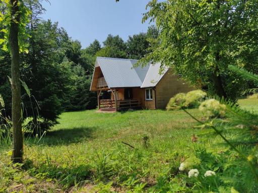 Domek w lesie - Housity