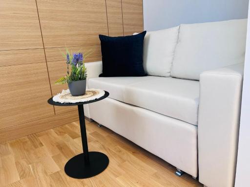 ZEUS Design Apartment Erlach #37 - Housity