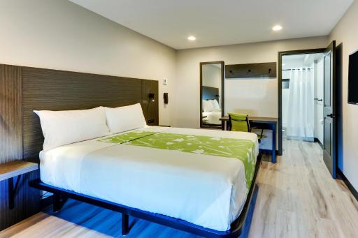 The Shamrock - Housity