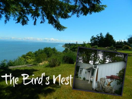 SQ The-Birds-Nest - Housity