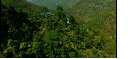 Oak hill homestay - Housity