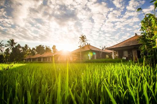 Sri Lestari Banyuatis - Housity