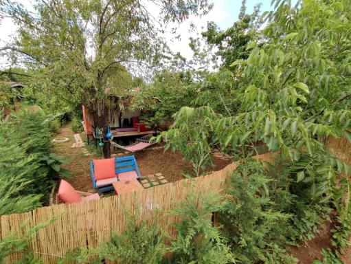 !!Tiny House İncir!! Kayaköy Jungle Camping - Housity