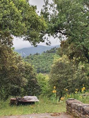 Ménerbes, Mas 18eme, design tout confort, calme. FIBRE haut debit - Housity