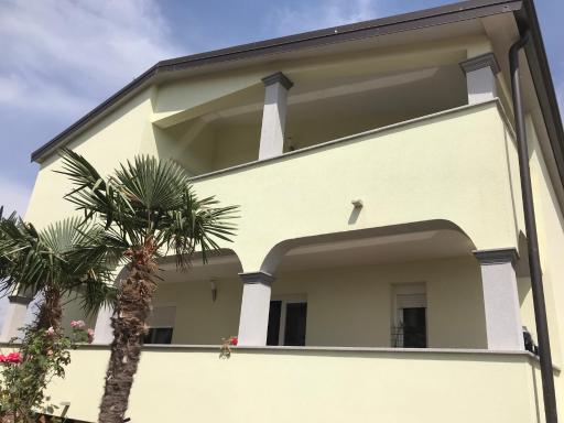 7 PALMI Novigrad - Housity