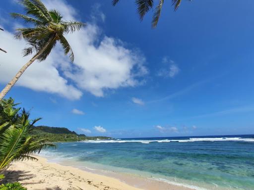Coleto Siargao - Housity