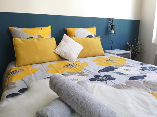 BNB LE CHIC Hyper Centre Orléans 5' Train Station PARKING - Housity
