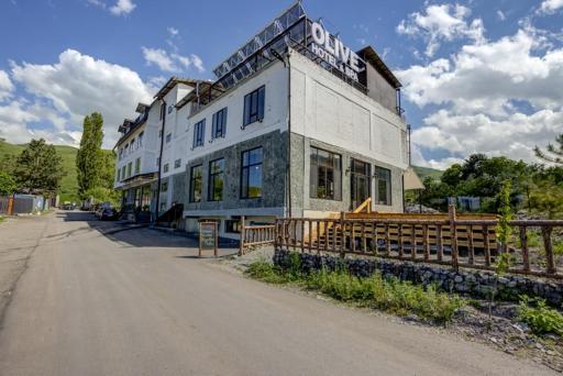 Olive Ala-Archa Hotel & SPA - Housity