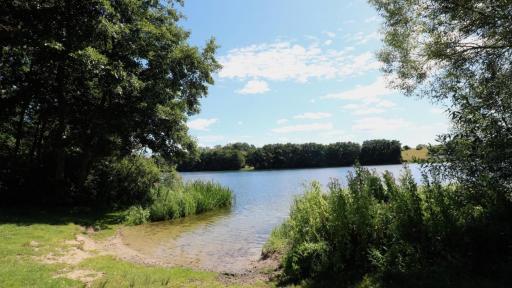 zentrumsnahes Wohnen in der Alten Schule am See - Housity