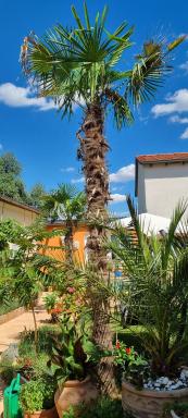 Grahl´s Ferienwohnung - Housity