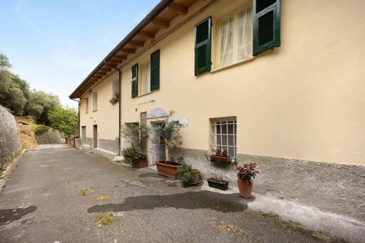 Profumo di Lavanda Lilla - Housity