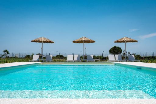 Beach Bird Swallow - Housity