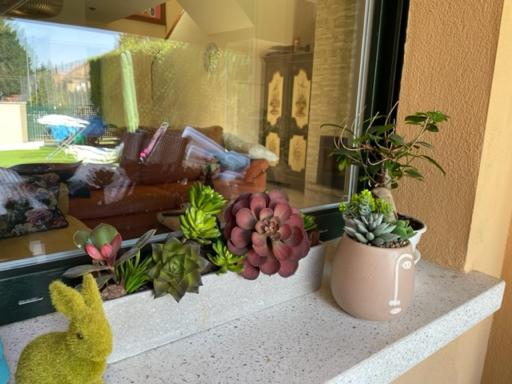 La Casita Verde - Housity