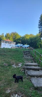 Cabana Cerbu - Housity