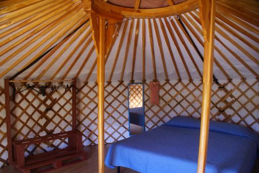 Yurta Flora - Housity