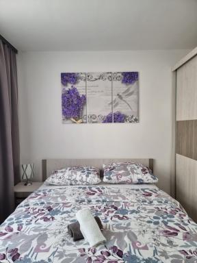 Lavanda - Housity