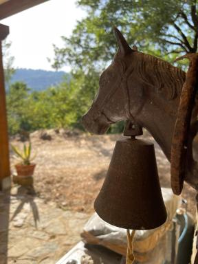 La casa di Michela - Housity