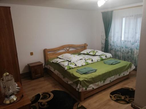 Pensiunea Saradavy - Housity