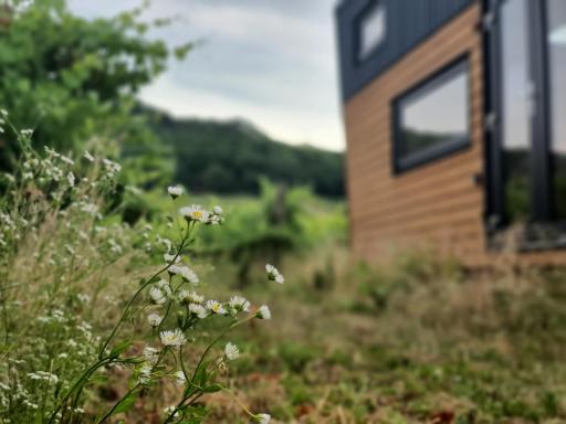 POP Tiny House Balaton - Housity