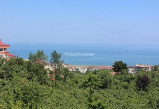 Trabzon Luxury - Housity