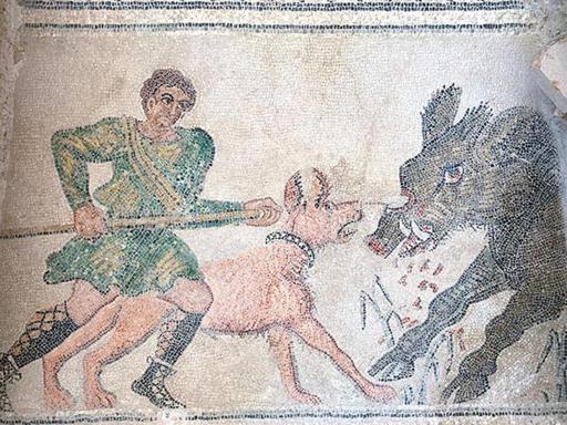 VILLA HISPANO-BRASILEÑA SALAR 2 - Housity