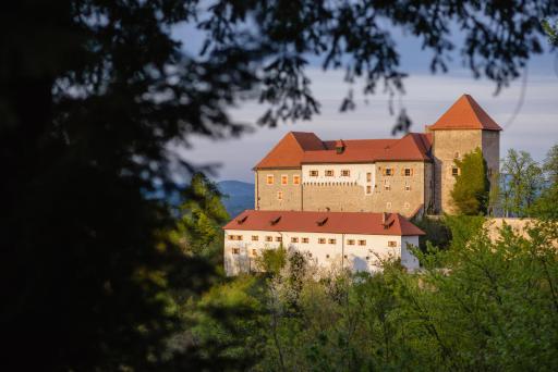 Rooms & Apartments Podsreda Castle - Housity