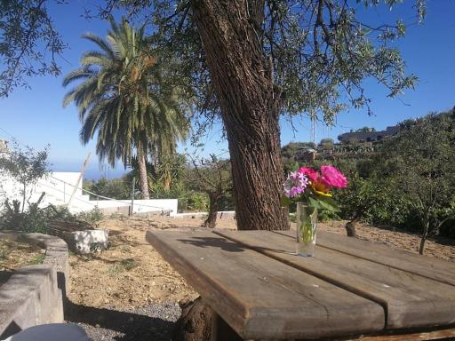 Naturaleza , tranquilidad, barbacoa....que mas! - Housity