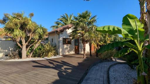 Guest House au milieu des palmiers - Housity