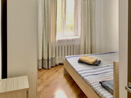 Apartment on Toktogula - Housity