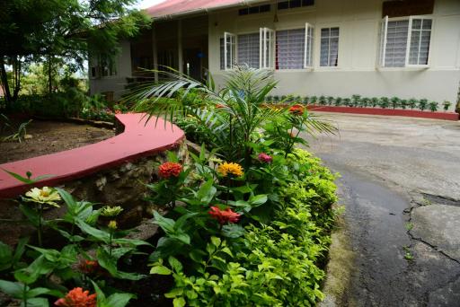 Mid Pine Home Stay - Housity