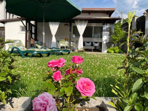 Charmante petite maison Transylvanie - Housity
