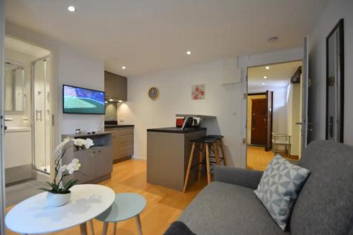 Studio Paquier Annecy hyper centre Old Town - Housity