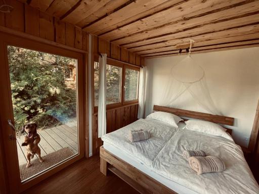 Boutique Glamping Divja DiVine - Housity