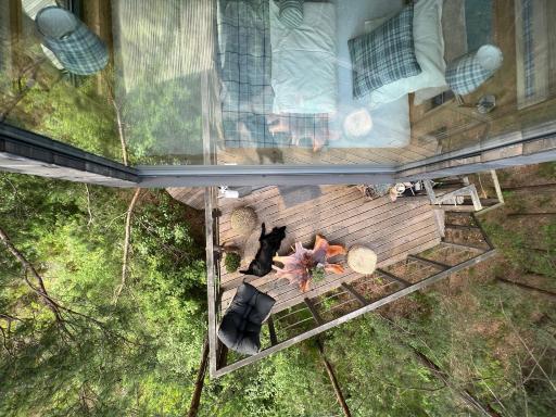 MY TREE HOME Warszawa, Macierowe Bagno - Housity