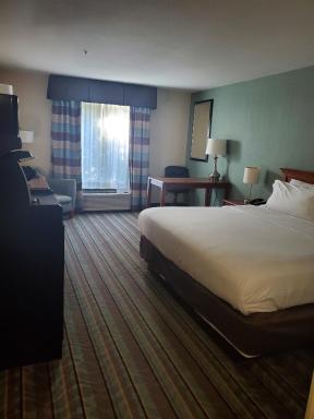 White Pine Lodge - Housity