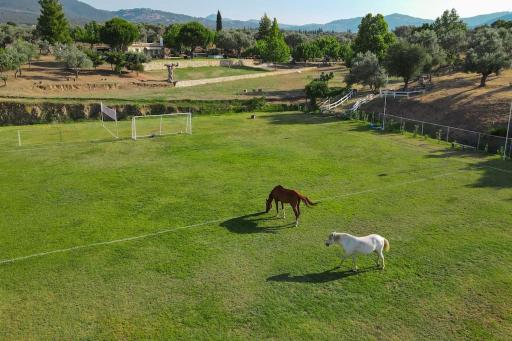 House in 10 acres of grass with horses - Housity