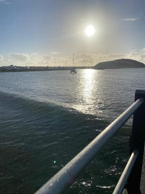 Central Oasis - Housity