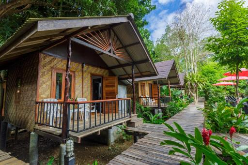 Khao Sok Cabana Resort - Housity
