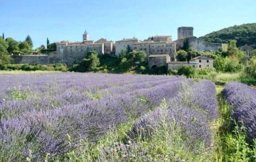 Stone house in the medieval village of Montclus (Gard) - Housity